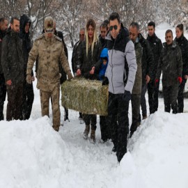 Vali Aygöl, kara kışta yaban hayvanlarını unutmadı