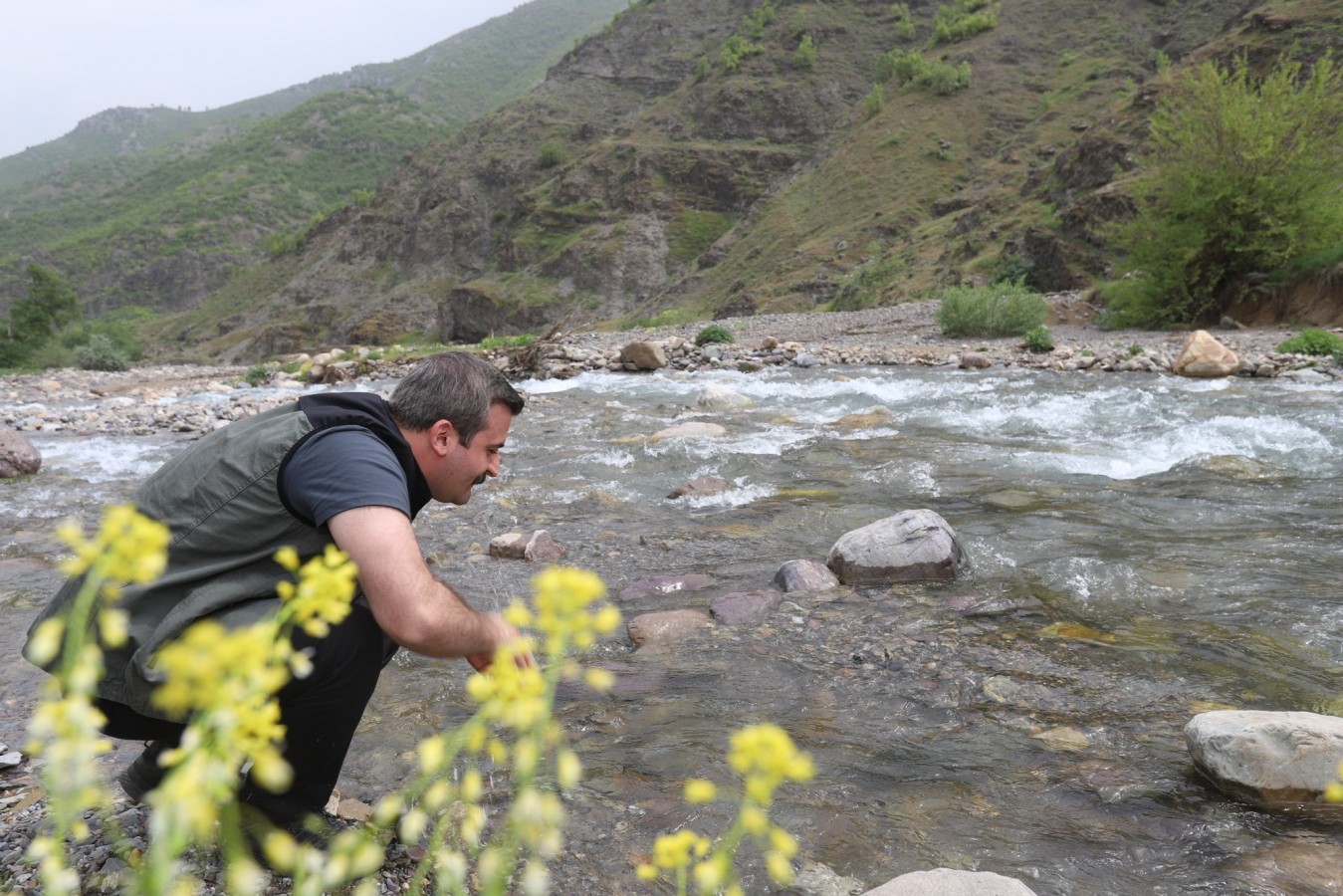 Çukurca'nın dağlarına bahar geldi