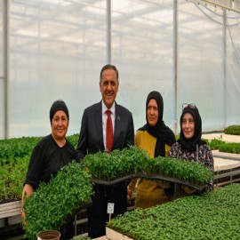 Yalova'da 1 milyon sebze fidesi dağıtıldı