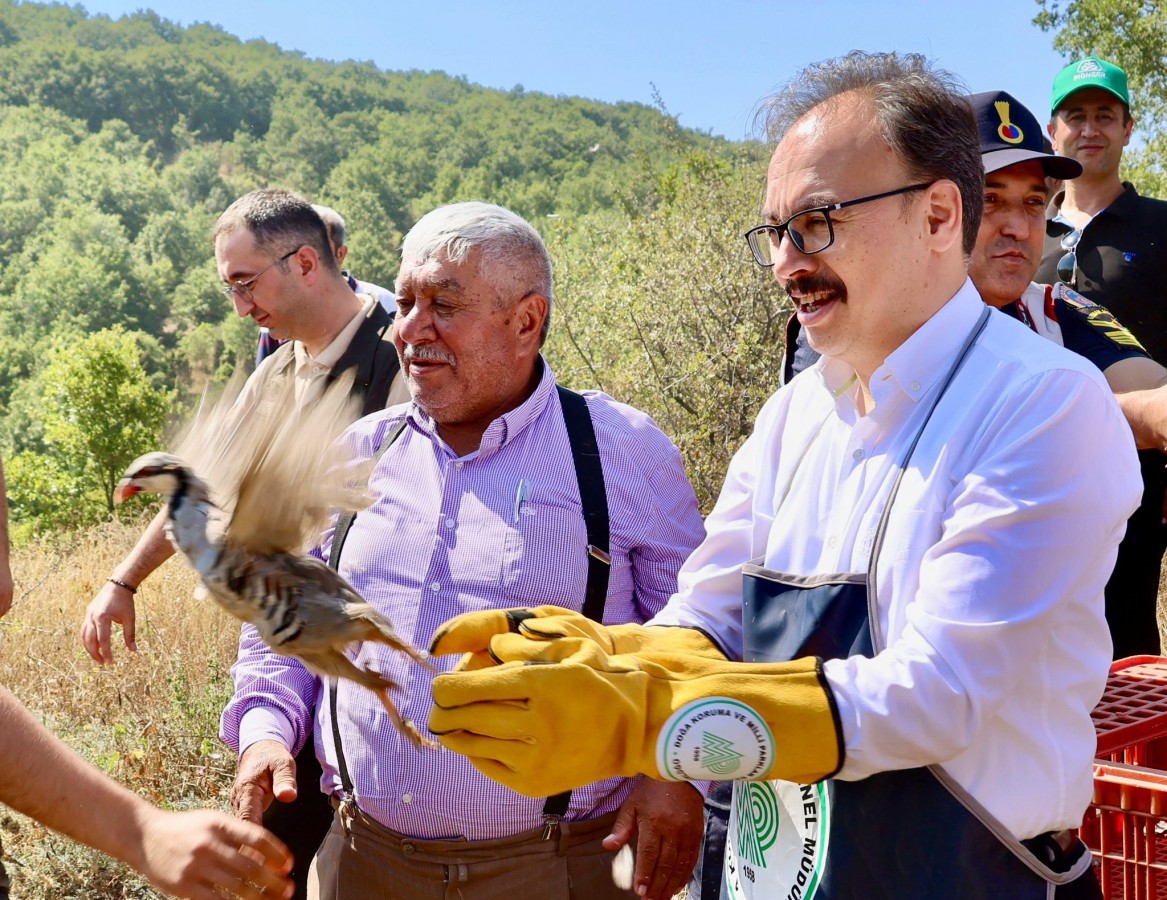 400 kınalı keklik daha doğaya kanat çırptı
