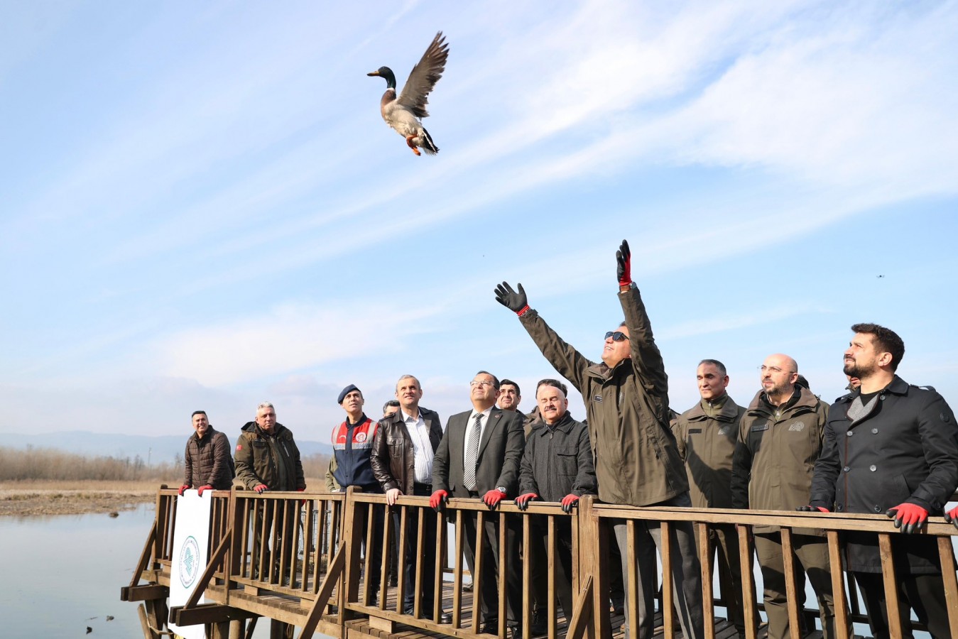 Vali Aslan, ördek ve şahinleri doğaya saldı;