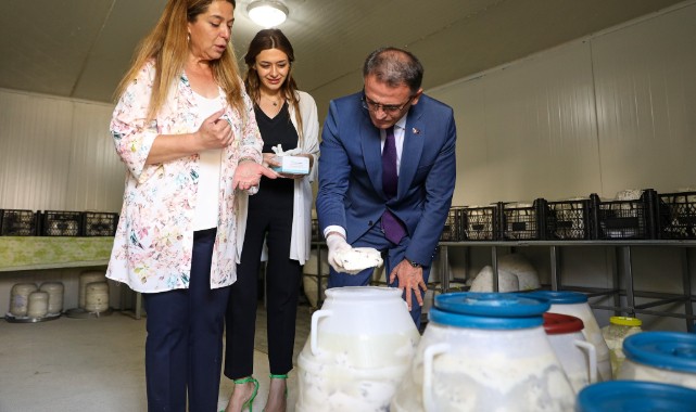 Vali Balcı, otlu peynir mayaladı
