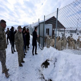 "Can dostlarımızın güvenli şartlarda yaşamaları hepimizin ortak sorumluluğu"