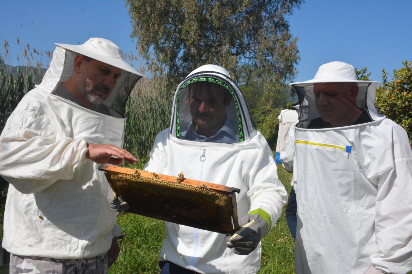 Kaymakam, yılın ilk balını hasat etti