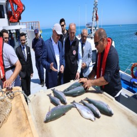 "Türk somonu, Rusya ve Japonya'ya ihraç edilecek"