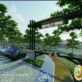 Sinop Valisinden “yeşil” müjde!