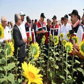 Vali Canalp, "neden aza razı oluyoruz" deyip üreticilere seslendi