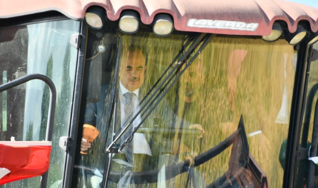 Vali biçerdöverle çeltik hasadı yaptı