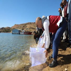 "Elazığ'dan 47 ile 53 buçuk milyon balık gönderildi"