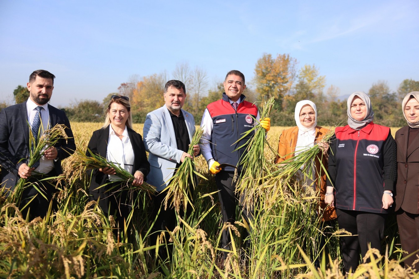 Düzce'nin coğrafi işaretli pirincinde verim arttı, su tüketimi azaldı;