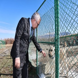 "Kangal Köpeği, Sivas'ın marka değerlerinden biri"