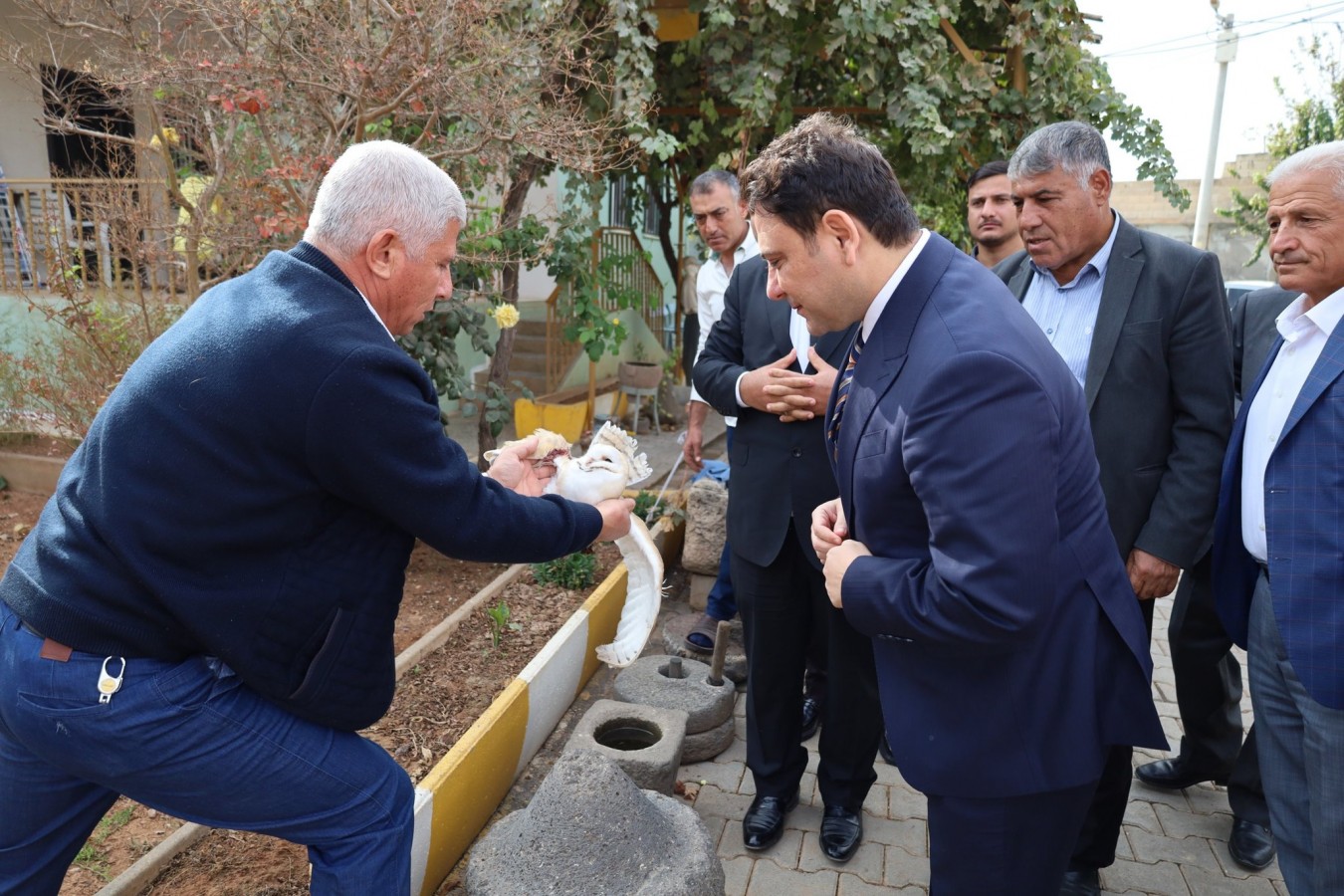 Yaralı baykuşu kurtaran vatandaşa Kaymakam Şahin’den teşekkür;