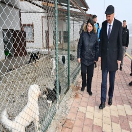 "Hayvanların kış şartlarında güvende olması önceliğimiz"