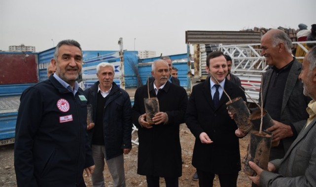 Çiftçilere 22 bin Bıttım fidanı