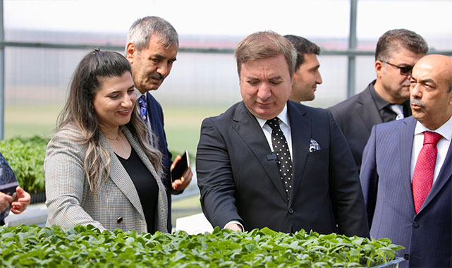 Erzincanlı gençler toprağına sahip çıkıyor: 1 milyon fide yolunda, 200 bin adım!;