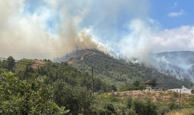 Hatay'da çıkan yangında sabotaj ihtimali araştırılıyor