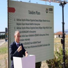 “Zeytin, Akhisar’ın toprağında yetişen bir üründen çok daha fazlasıdır”