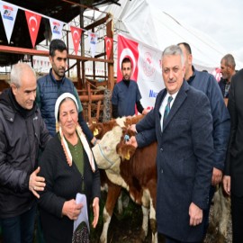 Depremzede çiftçilere hayvan desteği