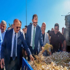 “Taşköprü sarımsağı ekonomiye güç katıyor
