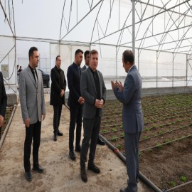 Vali Aydoğdu müjdeyi verdi: Toplu seralar 700 kişiye istihdam sunacak