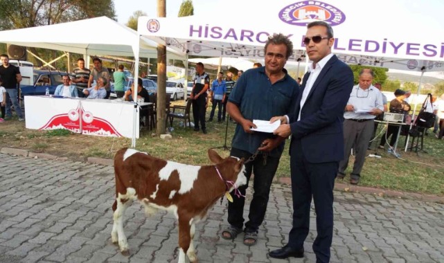 ‘En güzel buzağı’nın ödülü 12 çuval yem!