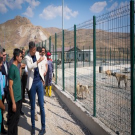 Hakkari'de 1 ay içinde sokaklarda başıboş hayvan kalmayacak