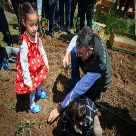 Çukurca'da miniklerle fide diken Vali Çelik:  “Hakkari’mizin ekonomisine değer katma derdindeyiz”