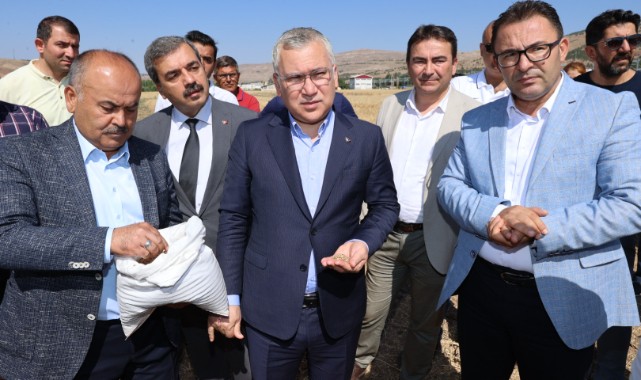 Soğuk ve kuraklığa dayanıklı buğday ürettiler