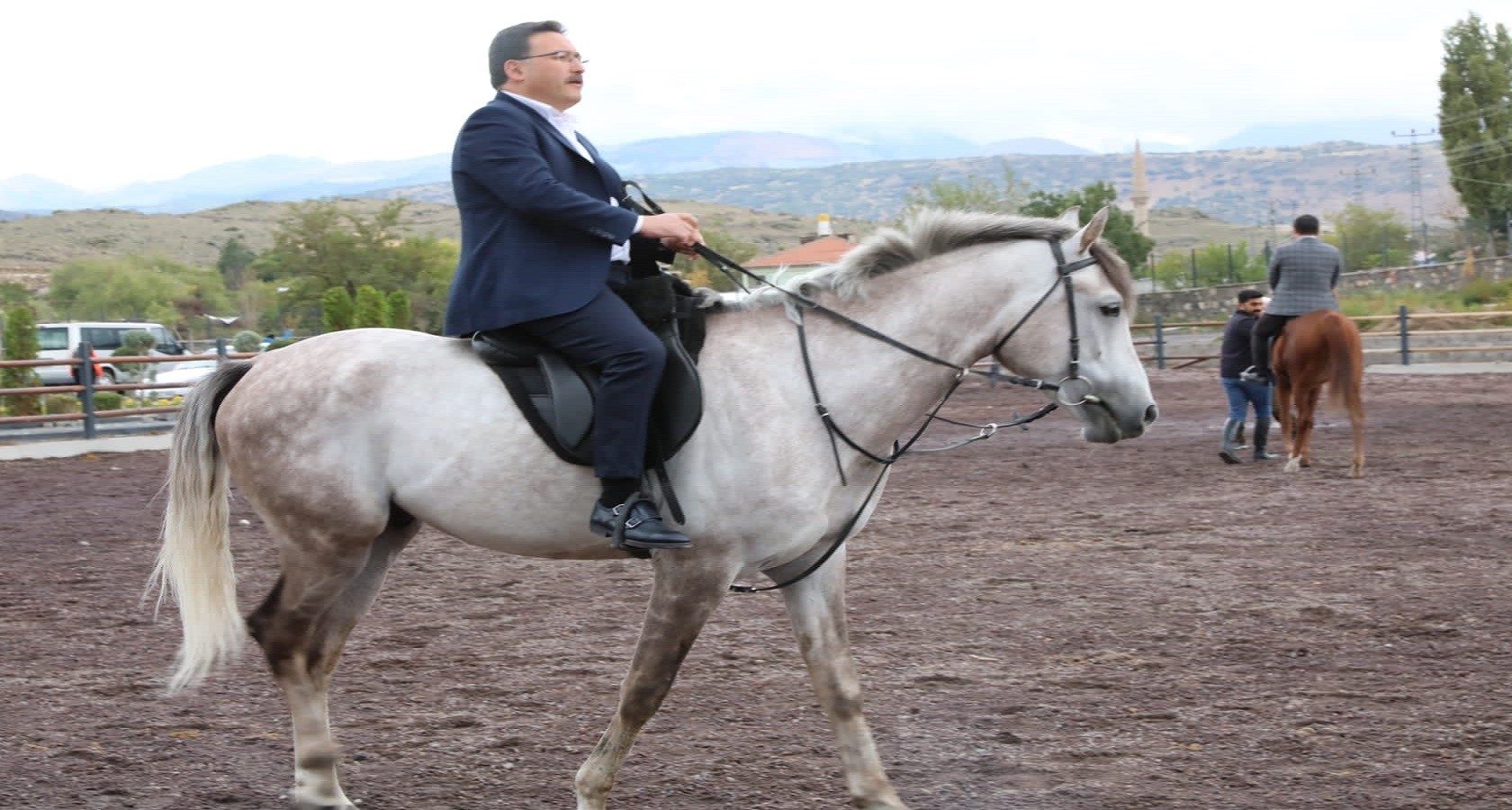 Bir yanda mandalar, bir yanda yılkı atları;