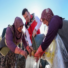 Niğde’nin yerli ve milli patatesleri hasat edildi