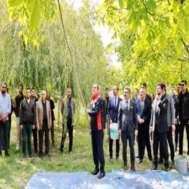 Bitlis ceviz üretiminde bölge birincisi