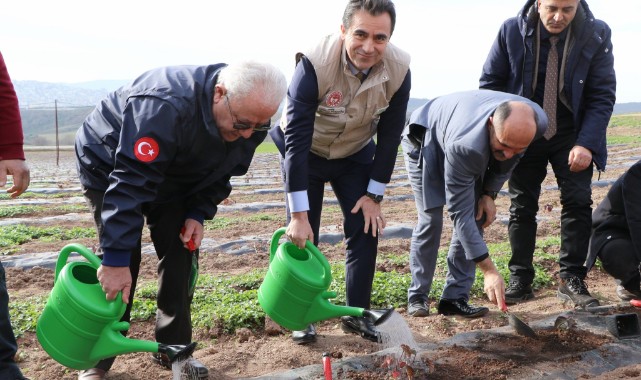 3 bin böğürtlen fidesi toprakla buluştu