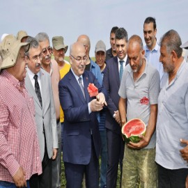 Hasat edilen Adana karpuzunun tadına baktı