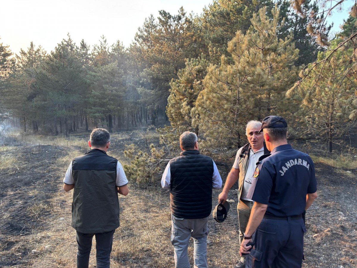 Sinop'ta orman yangını: Ekipler müdahale ediyor;