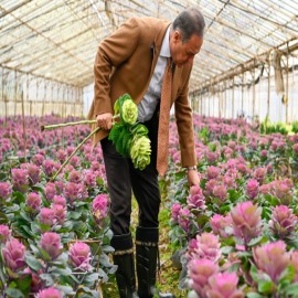 "Yalova, kesme çiçekte Türkiye’nin öncü illerinden"