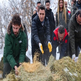 Tunceli'de doğaya kış desteği