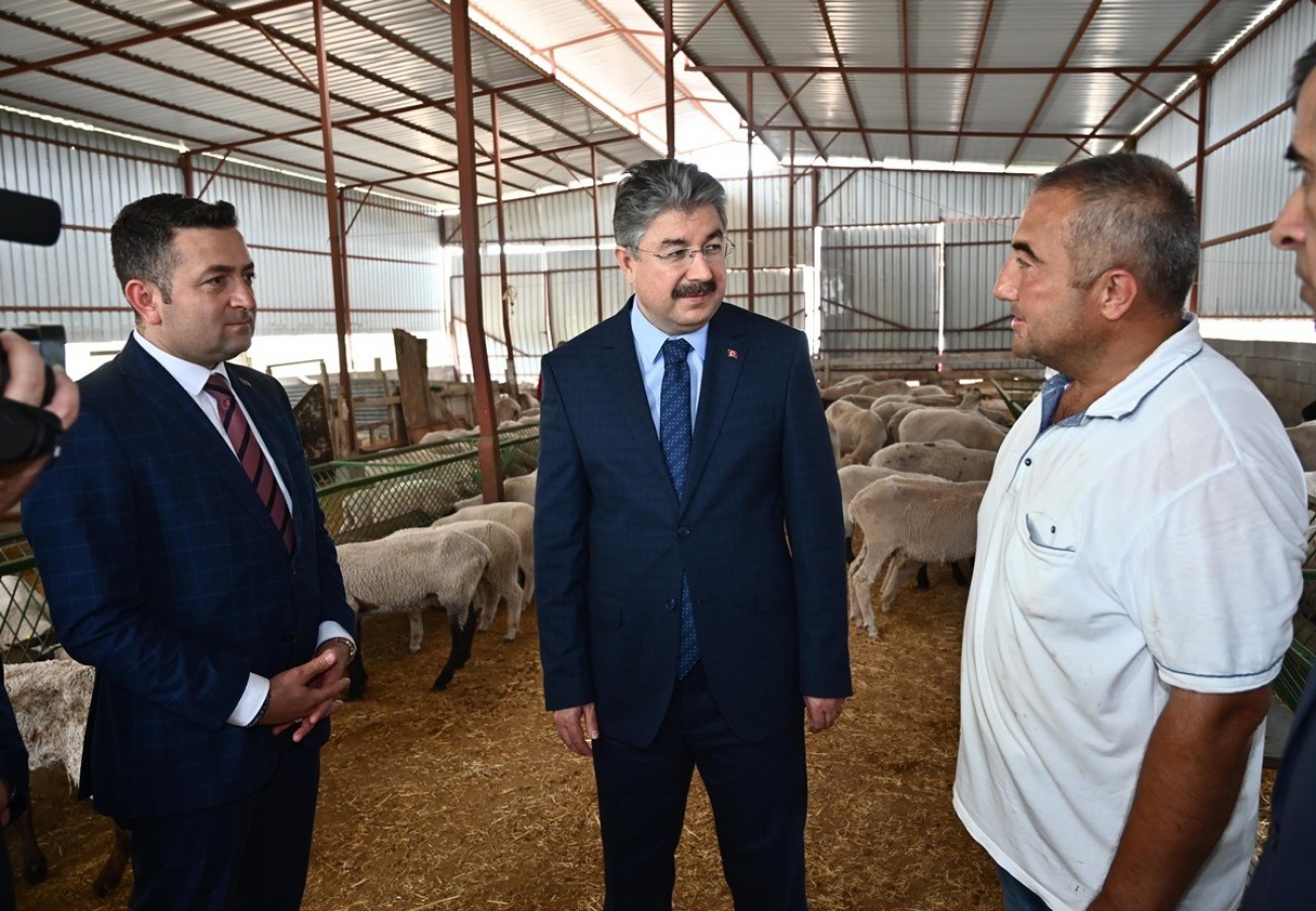 Faizsiz krediyle 100 koyunluk sürü sahibi oldu