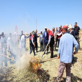 Adıyaman’ın asırlık lezzetinde hasat heyecanı başladı
