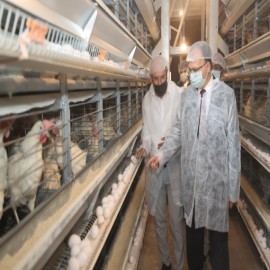Vali Kızılkaya yumurta üretim tesisini inceledi