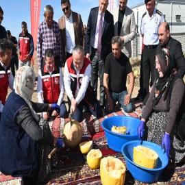 Coğrafi işaretli kabak çekirdeğinde hasat başladı