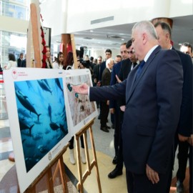 "Hafızalarımızda iz bırakacak bir sergi"