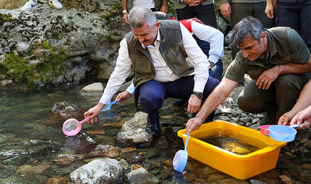 Vali Ergün, alabalık yavrularını dereye bıraktı;