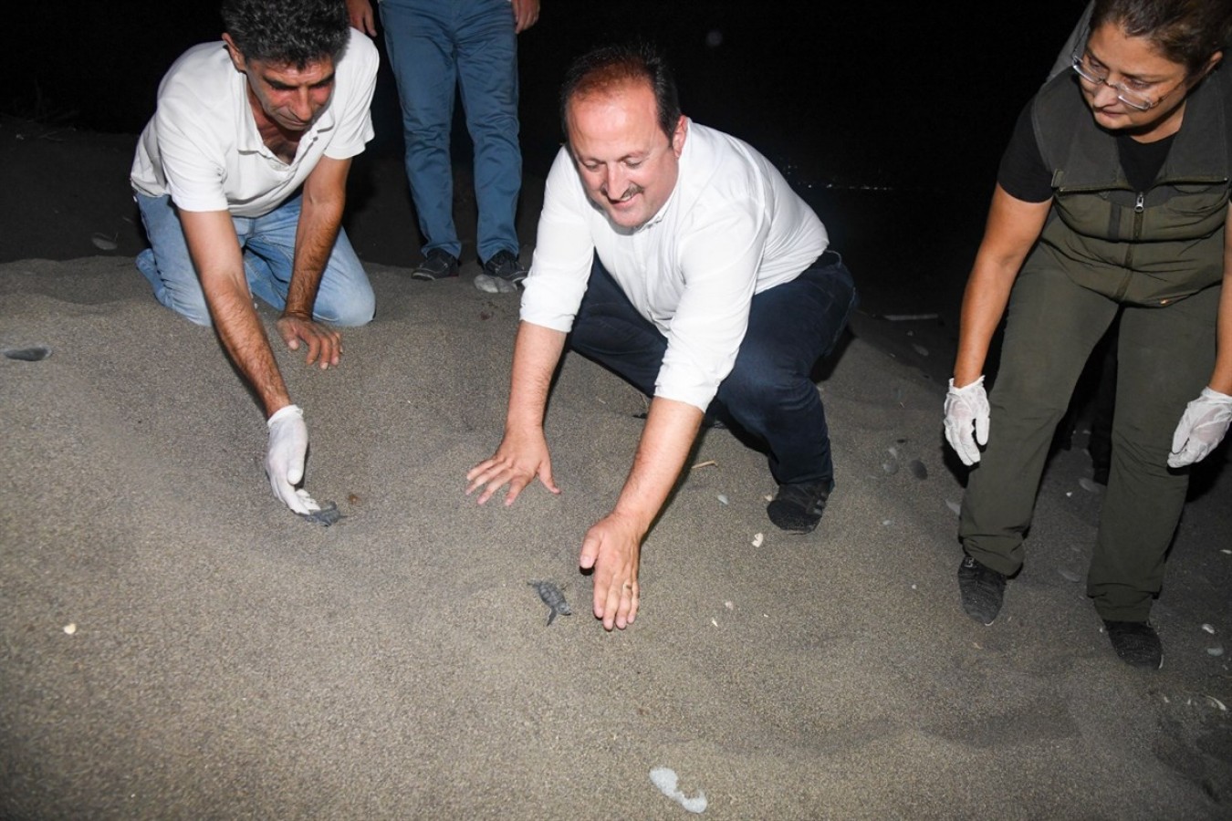 Yavru deniz kaplumbağaların ilk adımlarına şahitlik etti