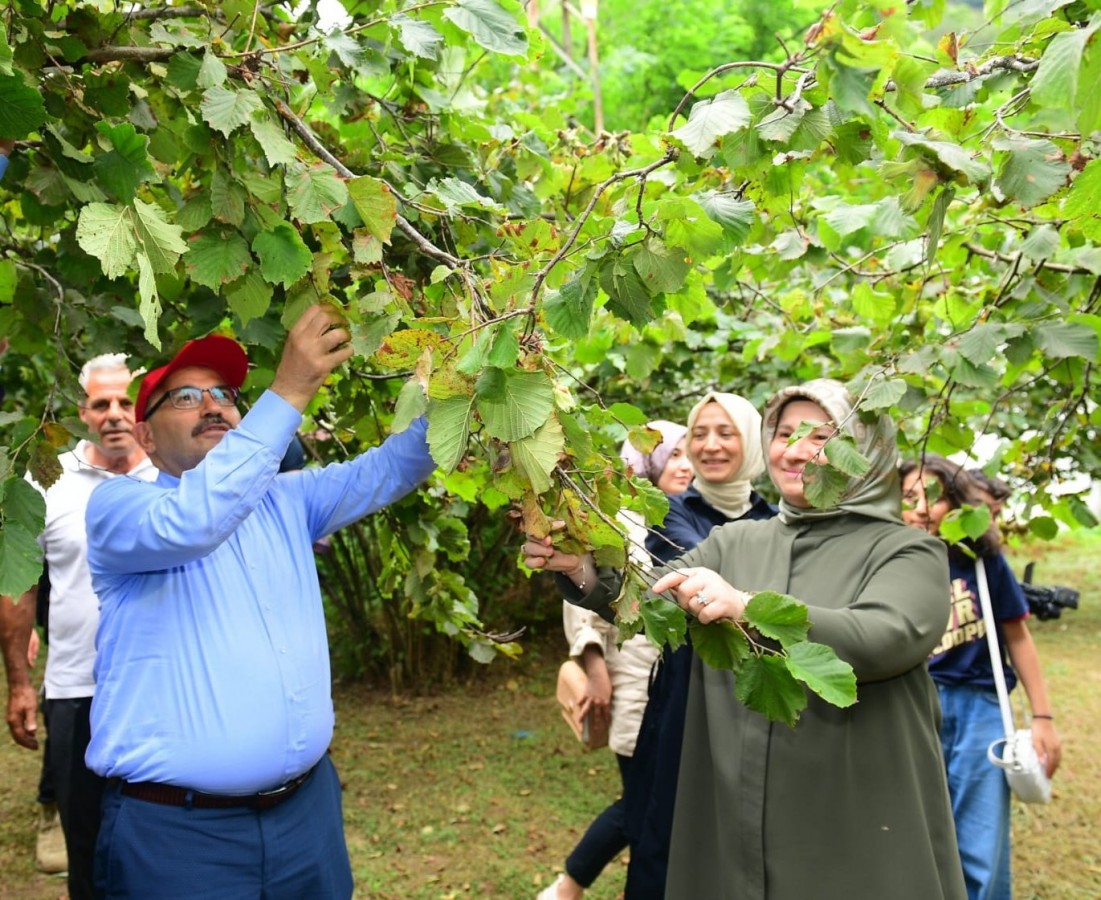 “Fındık hayatımızın merkezinde”;