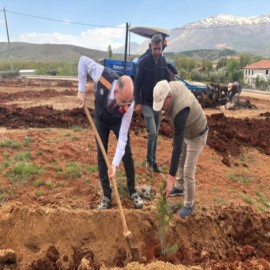 Doğanşehir'de yeşil bir gelecek için fidanlar toprakla buluştu!
