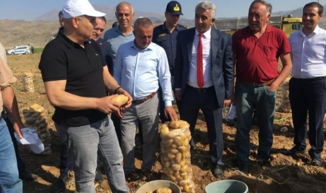 Vali Koç, çiftçilerle patates topladı
