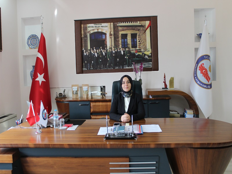 Didem Dinç Özay