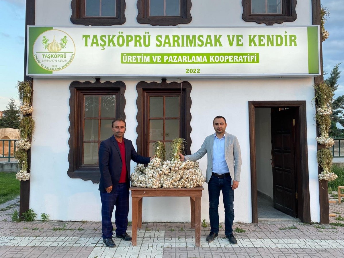 İlk sarımsağı kaymakam aldı;