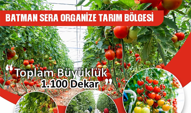 Bereketli toprakların şehri Batman, tarımda yeni bir kapı aralıyor;