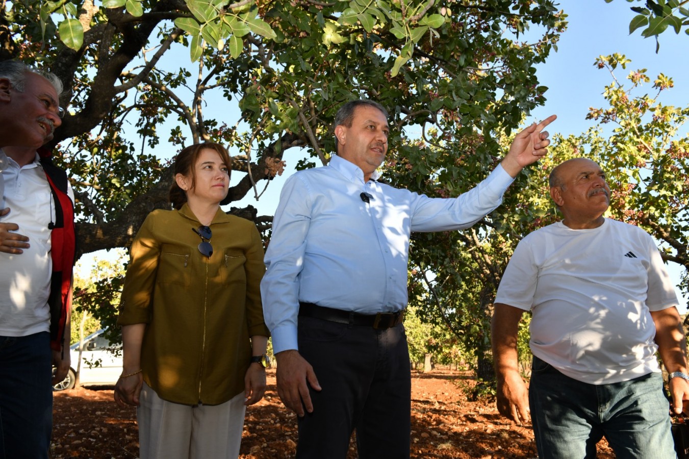 Şanlıurfa'nın ağaçları tescillenecek;
